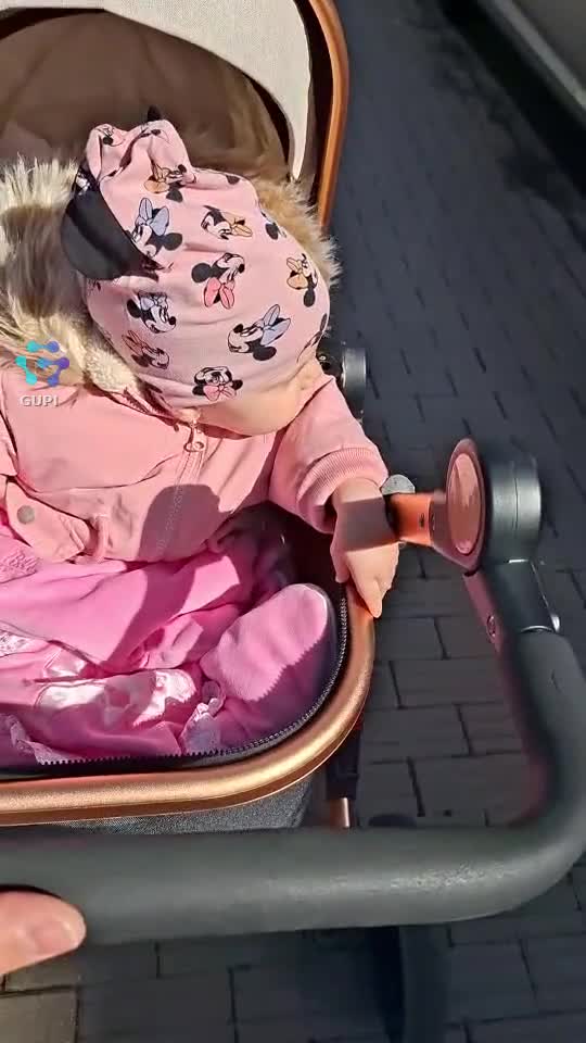 Prințesa lui Tata