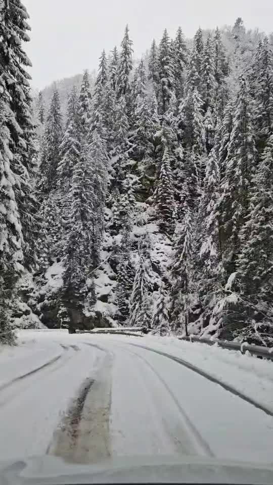 ❄️❄️