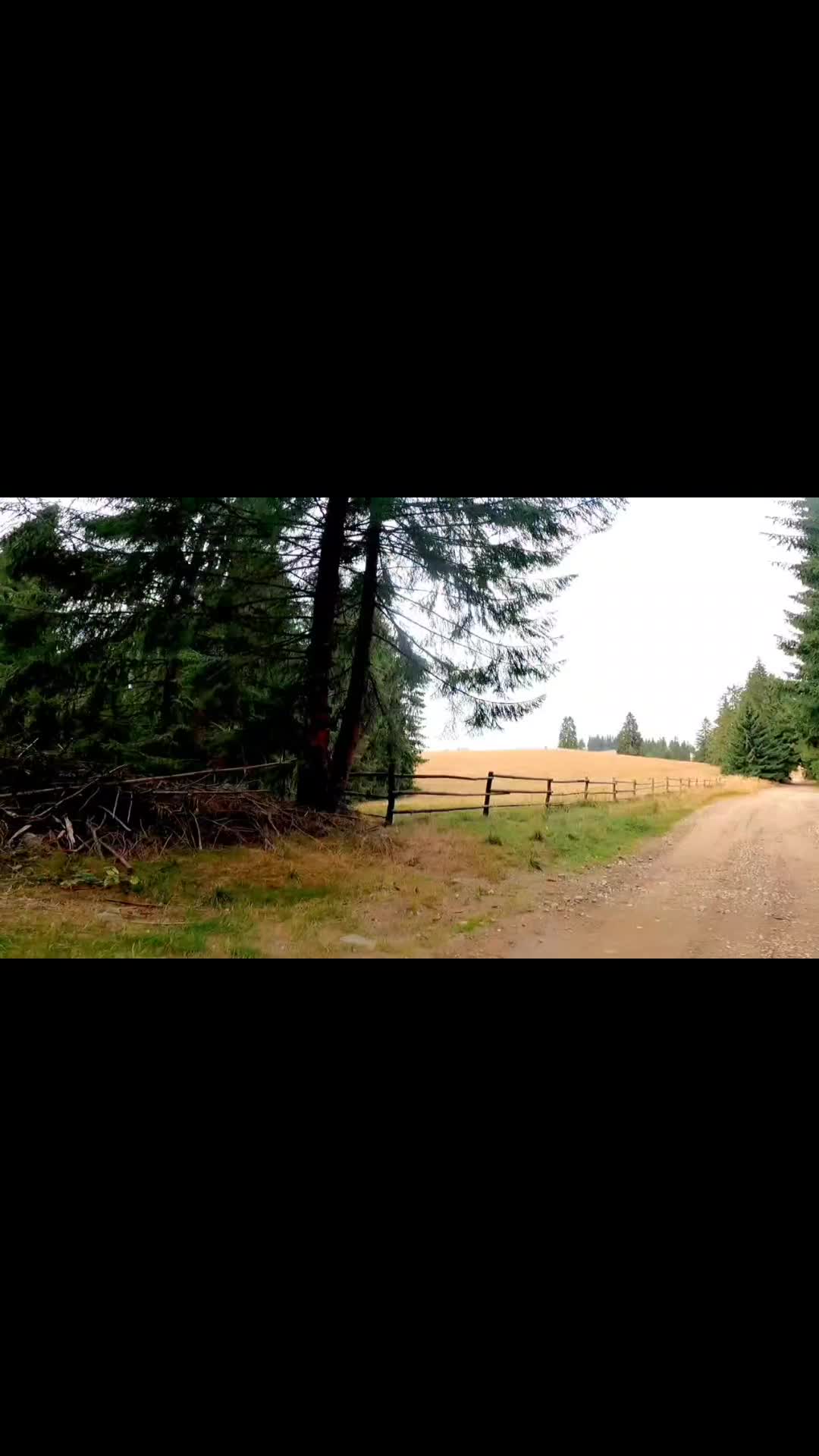 Video de @FLRica06