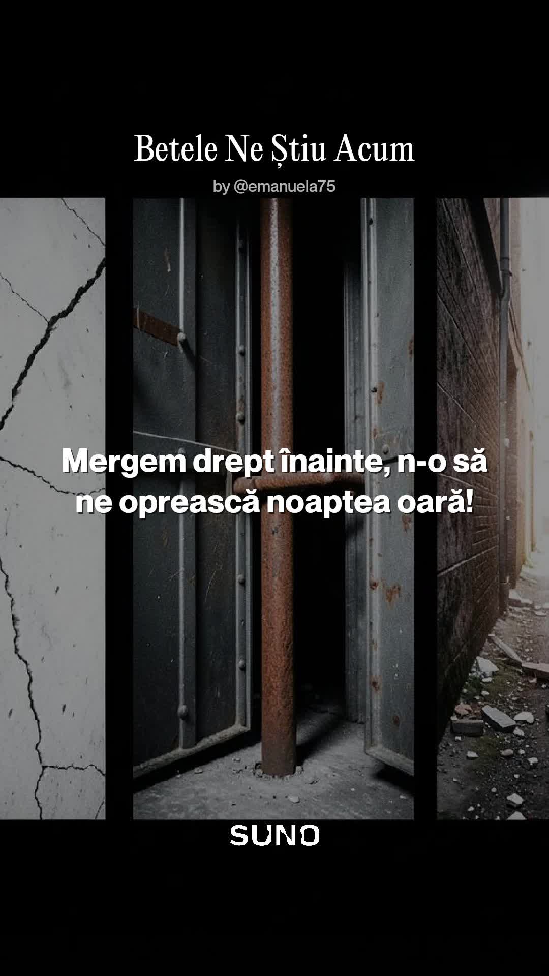 |||{"overlays":[{"text":"AUDITIE PLACUTA","x":0.1050260950307377,"y":0.09936868775179043,"fontSize":40.217415674831855,"color":4283215696,"isEmoji":false}]}
