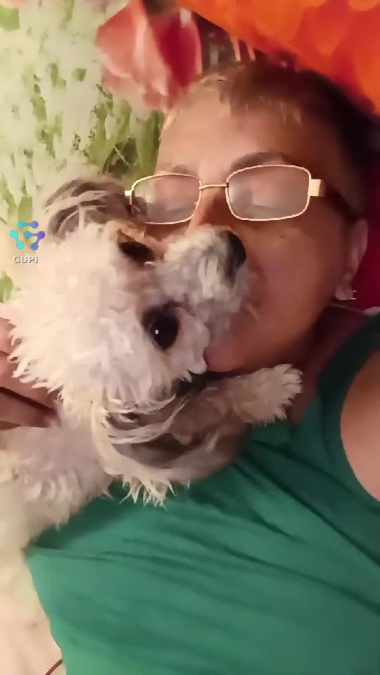 Am găsito pe luna asta iarnă în zăpadă sub o mașină înghețată, fără păr și avea doar un kg....am luat-o acasă voi ce ați fii făcut ??|||{"overlays":[{"text":"❤","x":0.09439290364583336,"y":0.6020309562969924,"fontSize":48.0,"color":4294967295,"isEmoji":true}]}