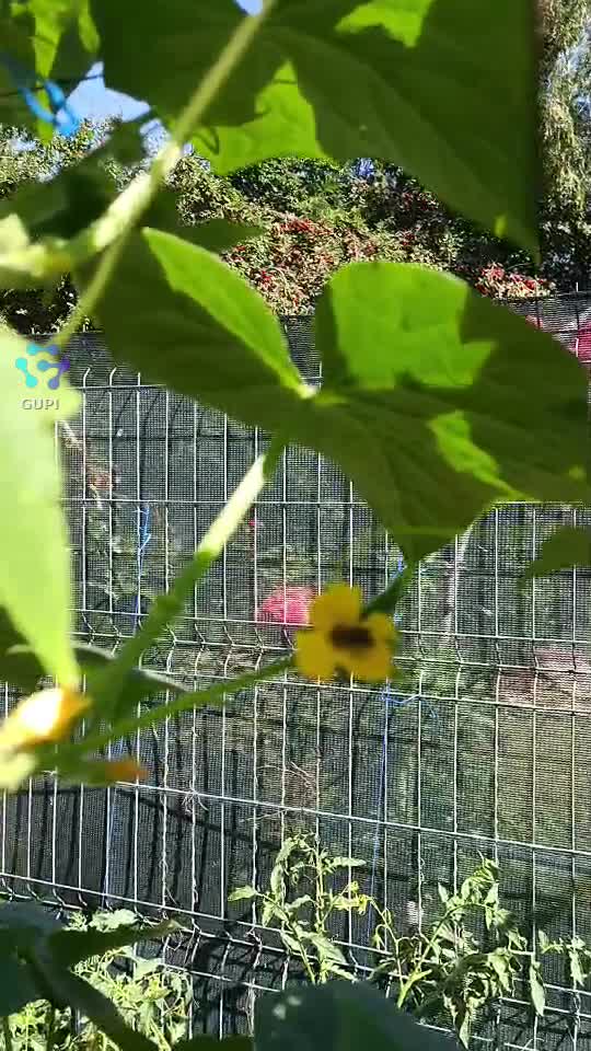 Cu metode naturale de grădinărit, toată lumea e in siguranță,inclusiv albinele.♥️