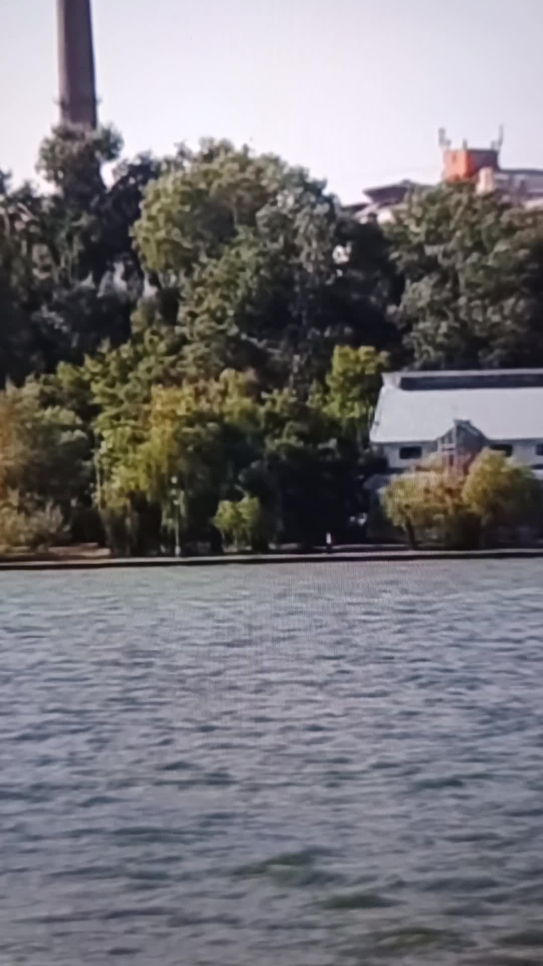 Video de @gupiuser868790