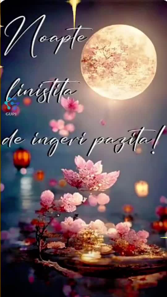 Video de @gupiuser157697