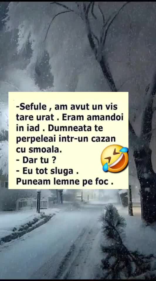 🇷🇴🤪🇷🇴#🇷🇴🤣🤣