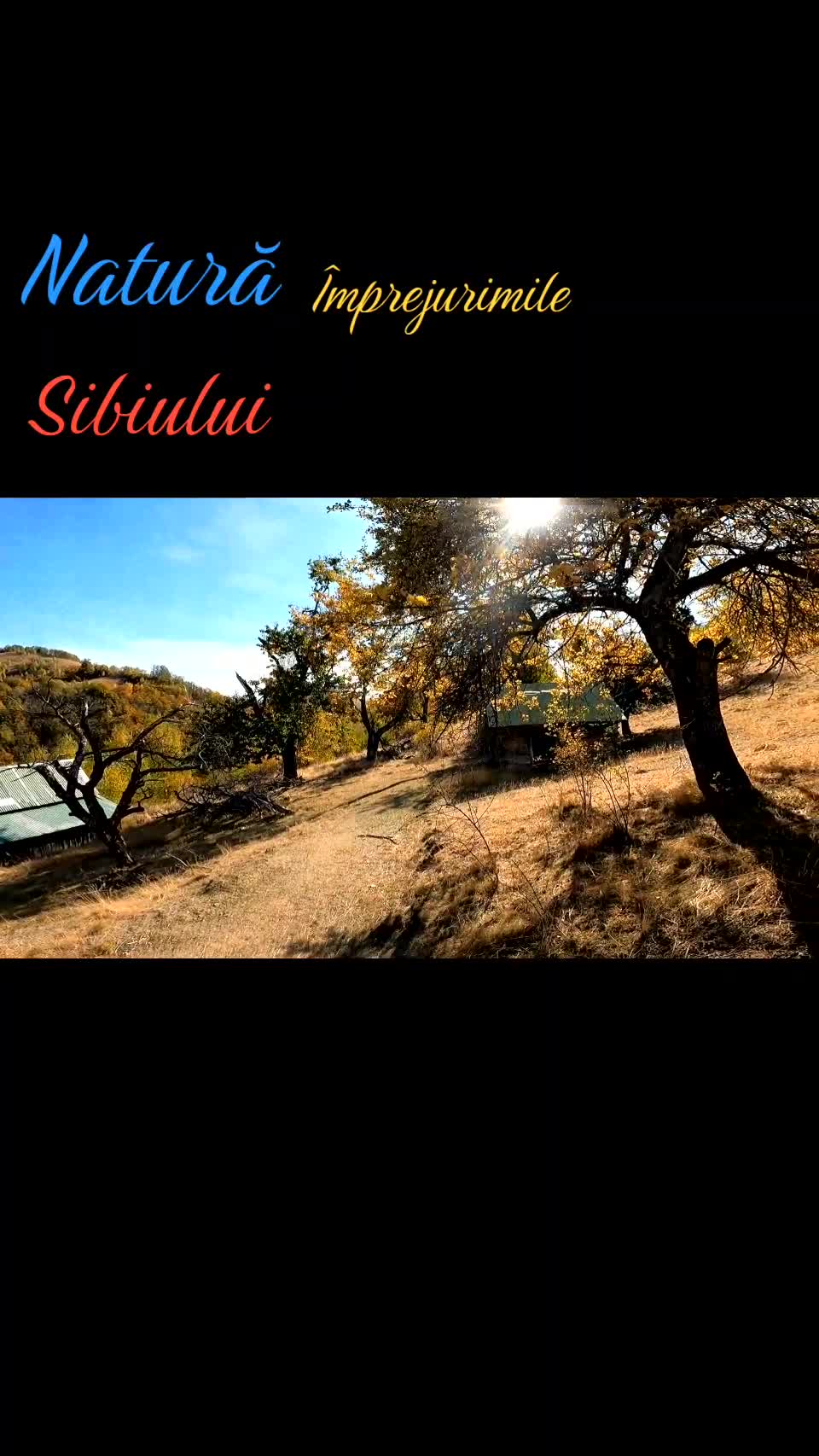 Video de @FLRica06