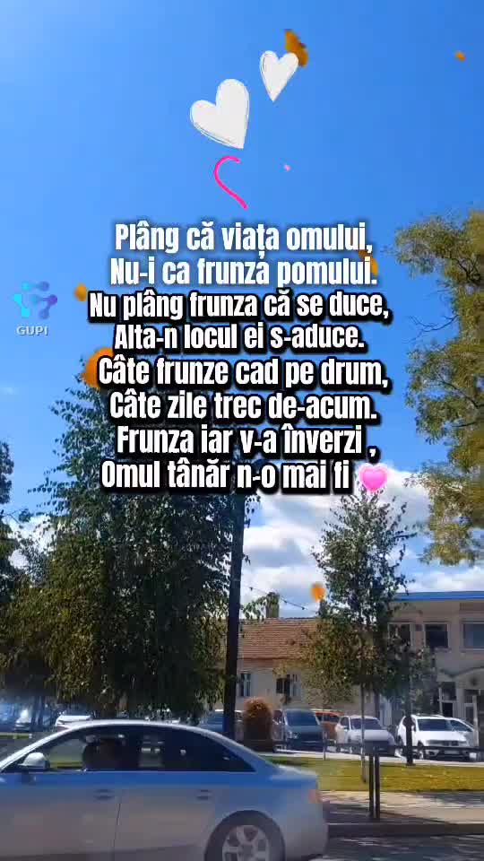 Video de @🍁Anamaria🍁