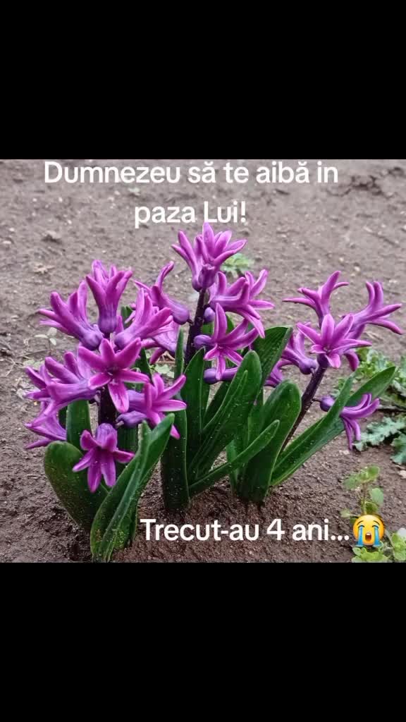 în suflet# mama