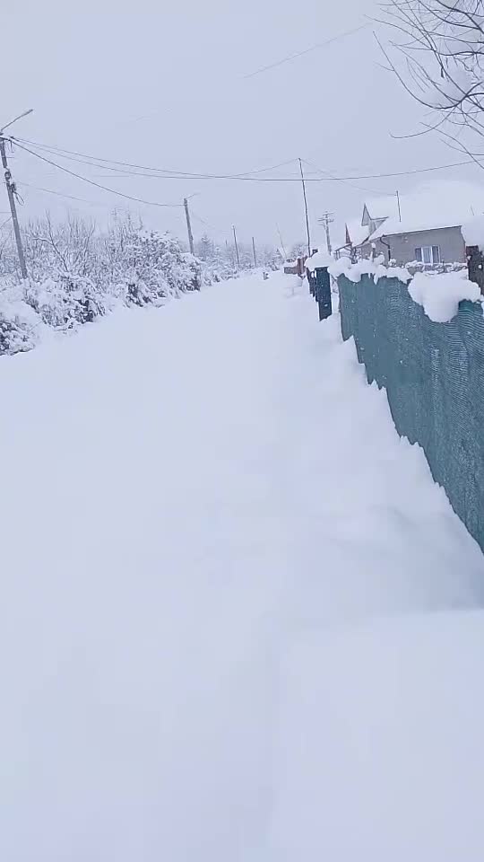 hai afară la zăpadă