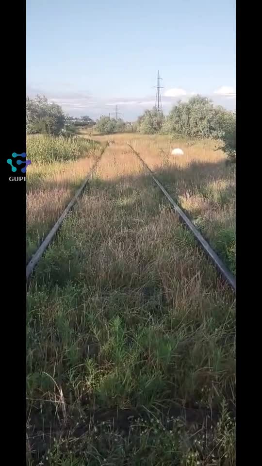 Video de @gupiuser74821