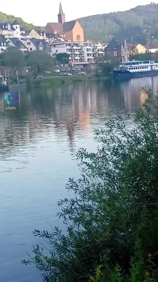 Video de @gupiuser165248