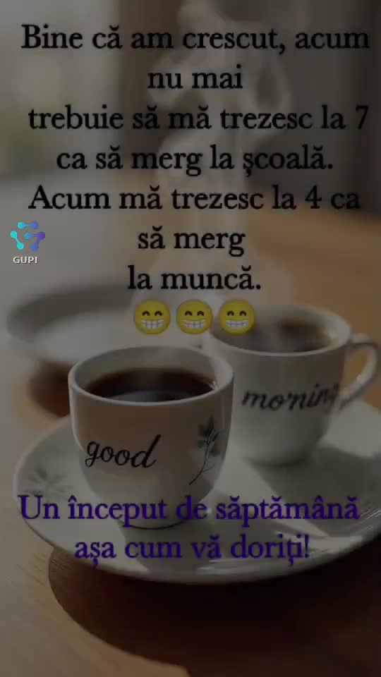 Video de @gupiuser144503