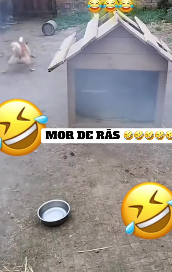 🤣🤣🤣🤣
