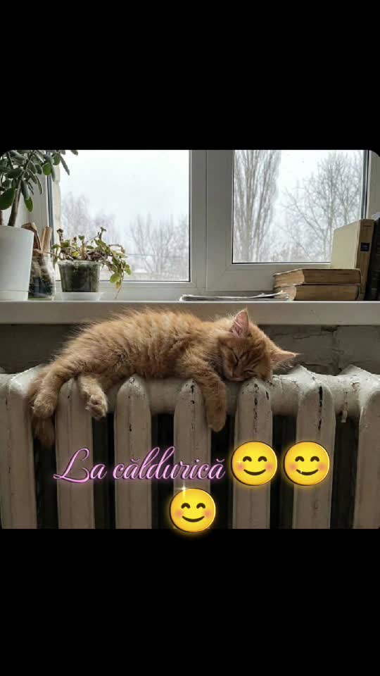 ## căldurică 😊😊😊###