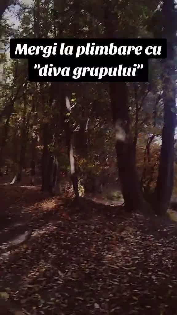 În fiecare grup există diva grupului 🤣