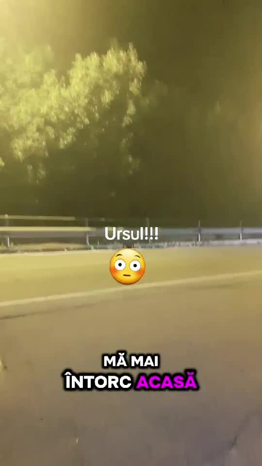 URSUL!!!