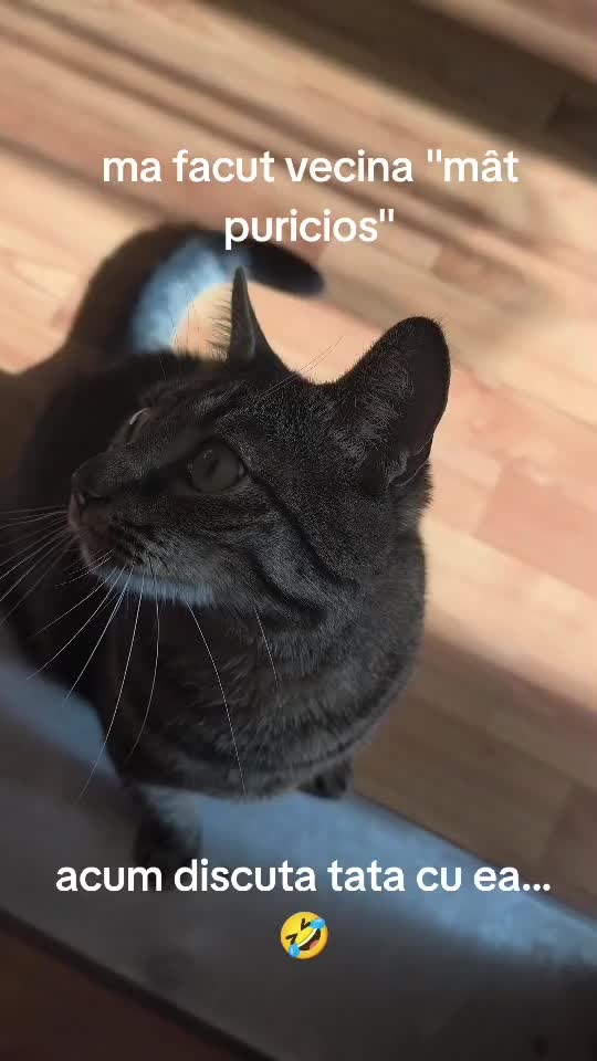 #funny