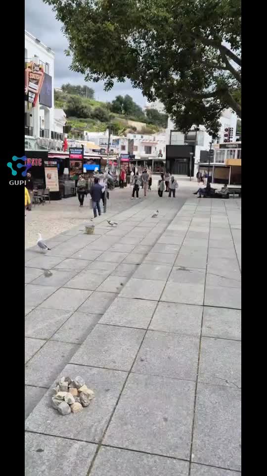 Video de @gupiuser320053