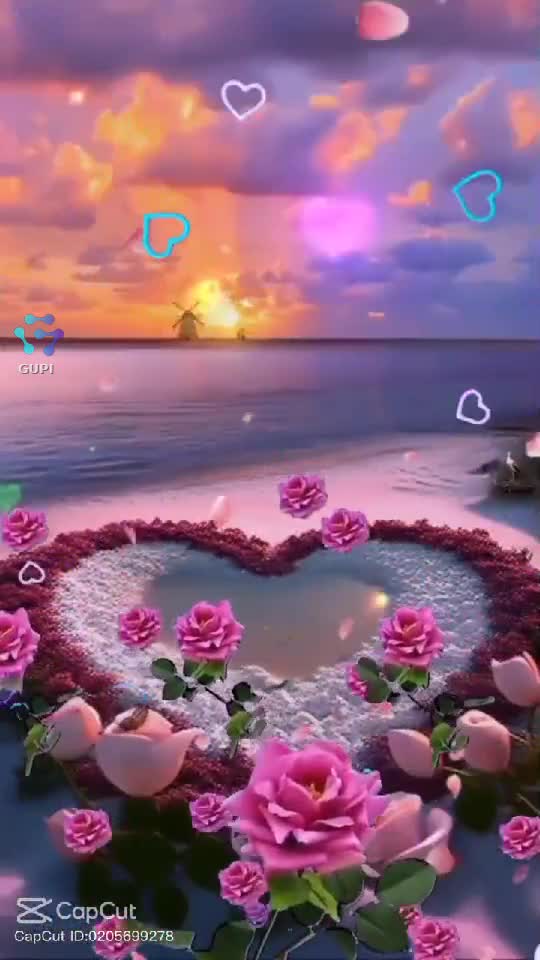 Video de @gupiuser155499