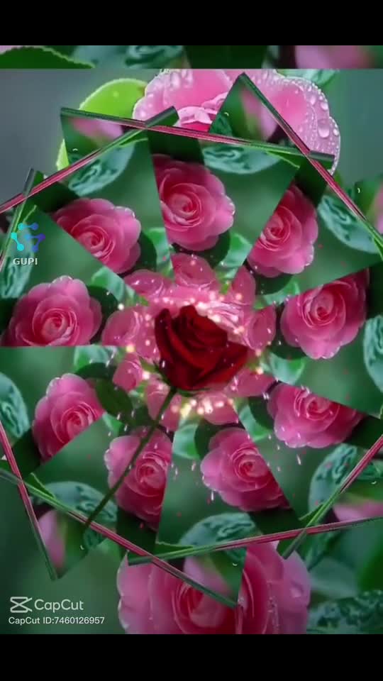 Video de @NinelaNinela🙏♾️🙌🤍🕊♾️