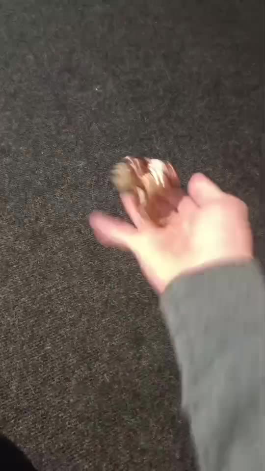 #😅😁