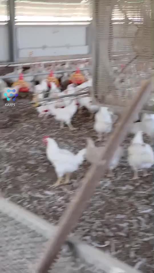Video de @gupiuser115591