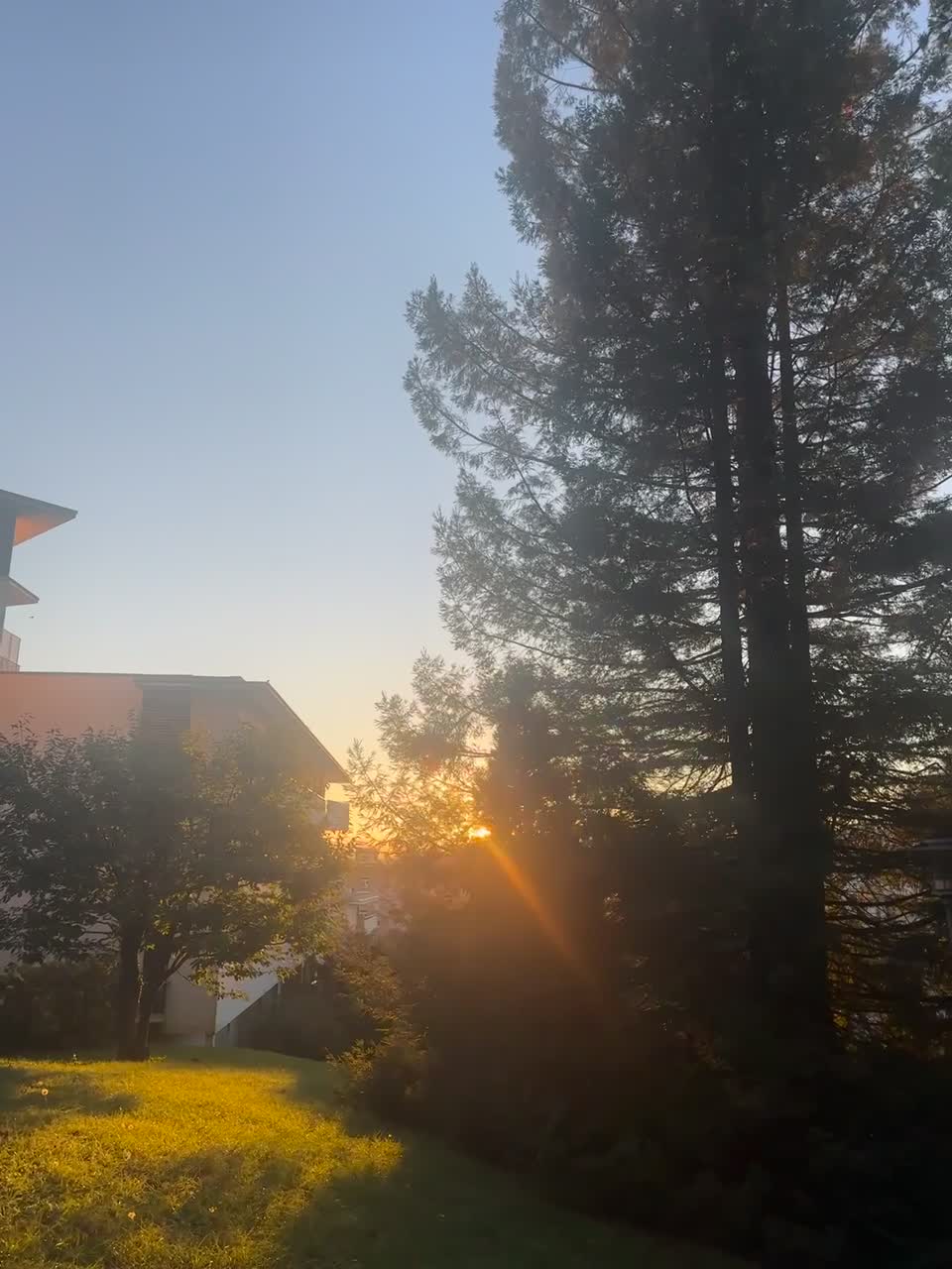 Video de @🇨🇭Vasile1805🇧🇪