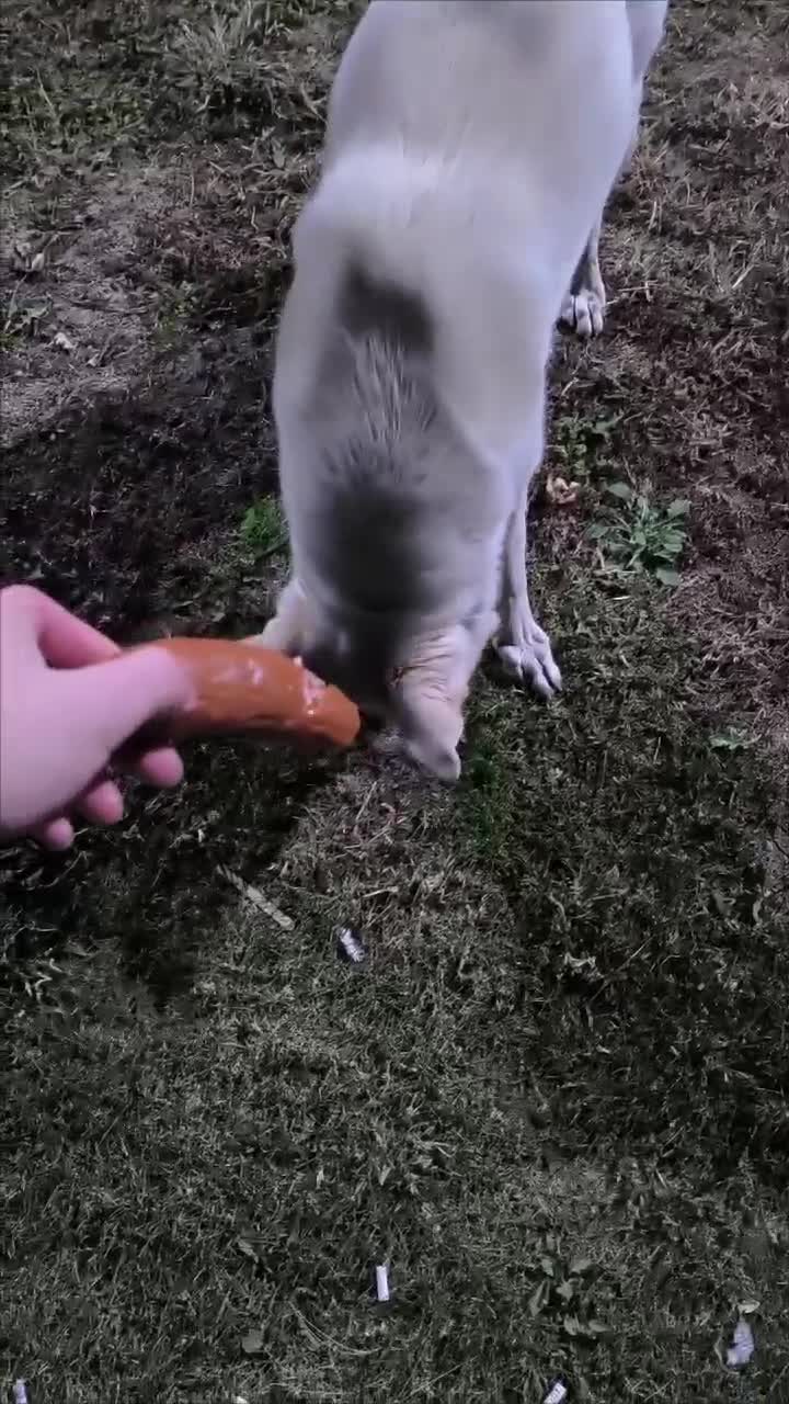 #feeding