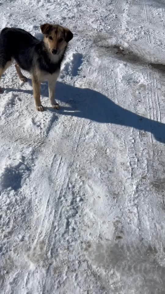 ♥️♥️♥️
