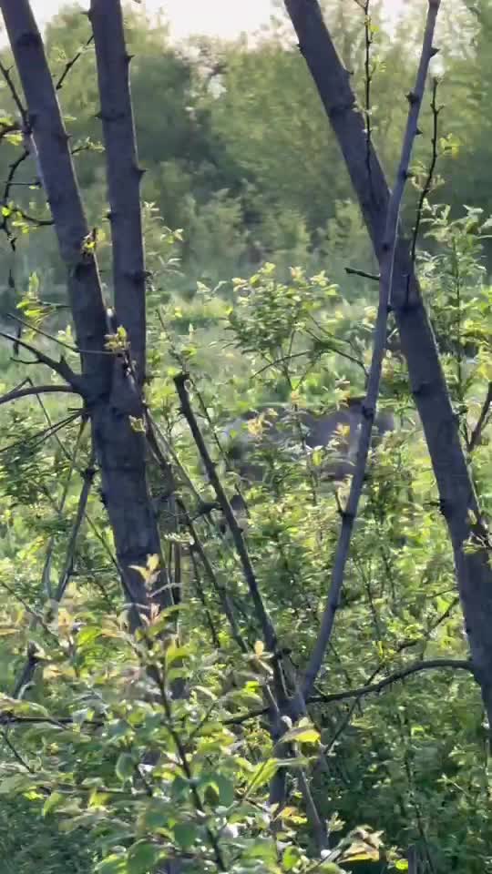 #nature