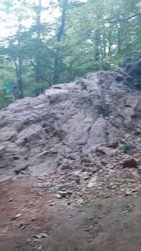 vieții  ..
 z