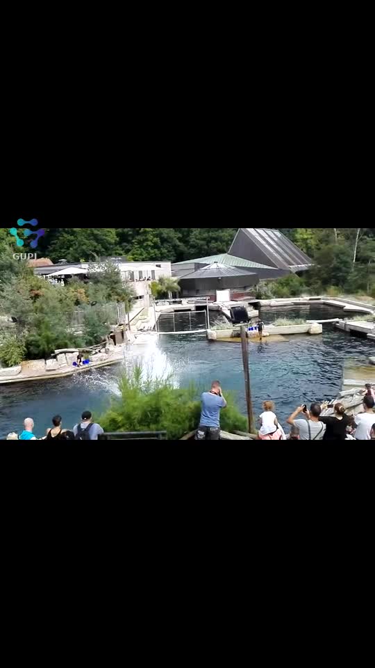 Video de @gupiuser290073