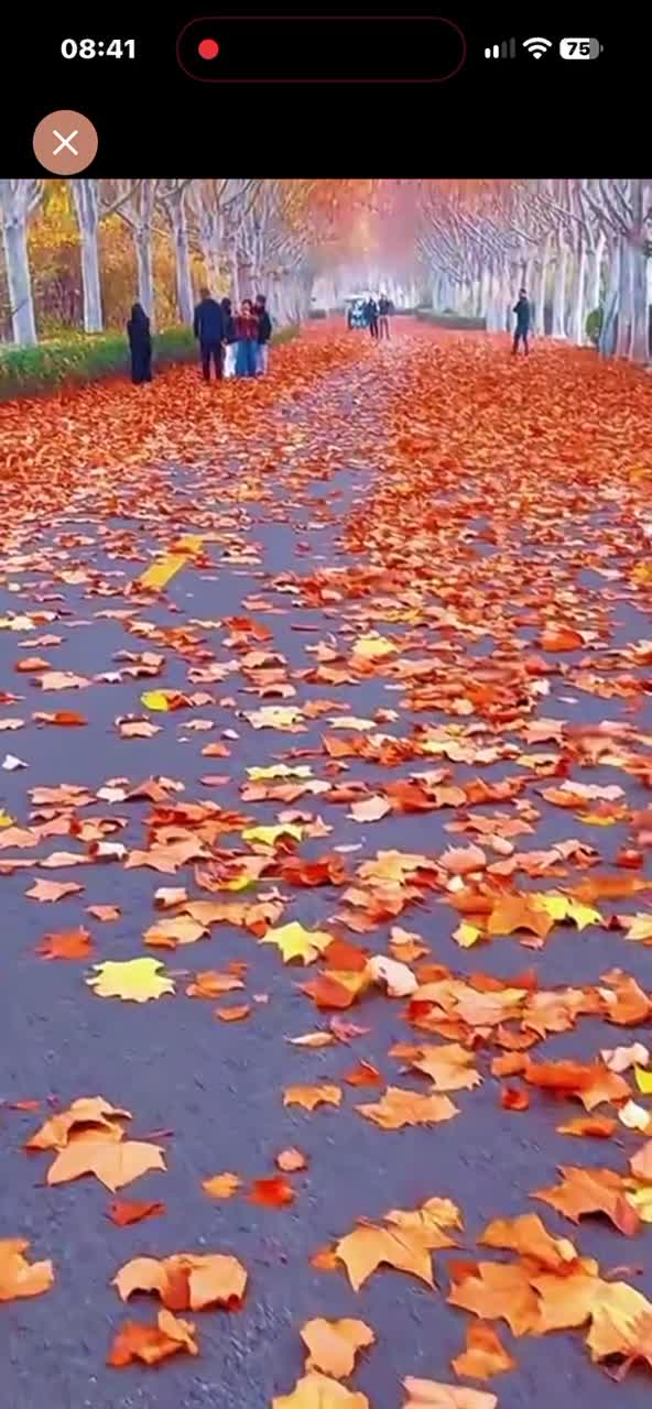 Video de @🇨🇭Vasile1805🇧🇪