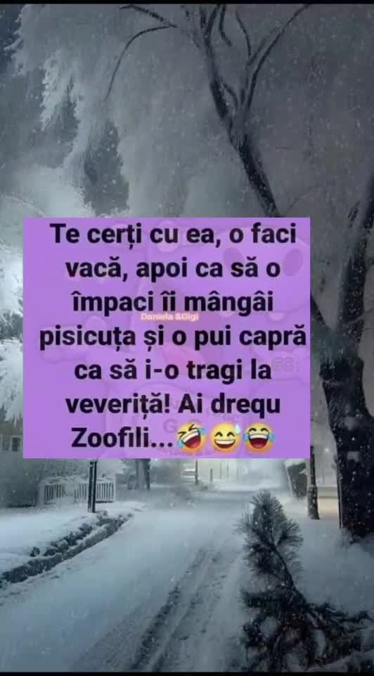 🇷🇴🤪🇷🇴#🇷🇴🤣🤣
