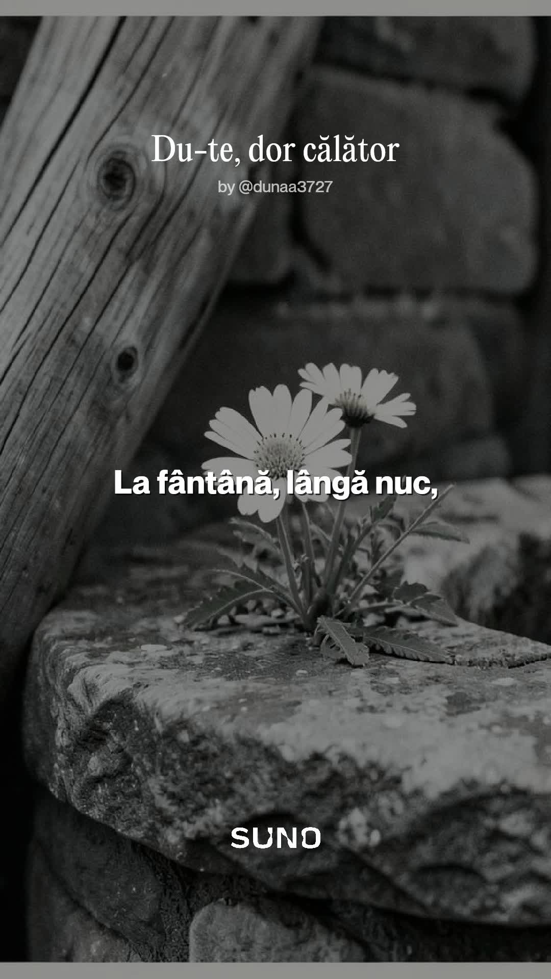 Video de @ADIDUNA
