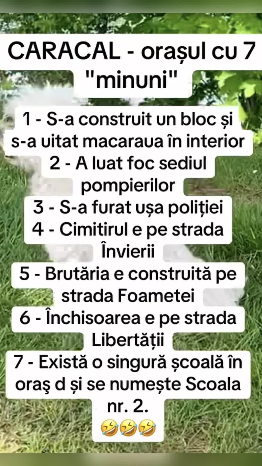🇷🇴