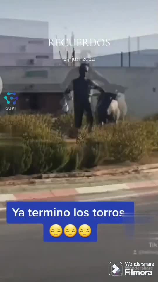 Video de @gupiuser166617