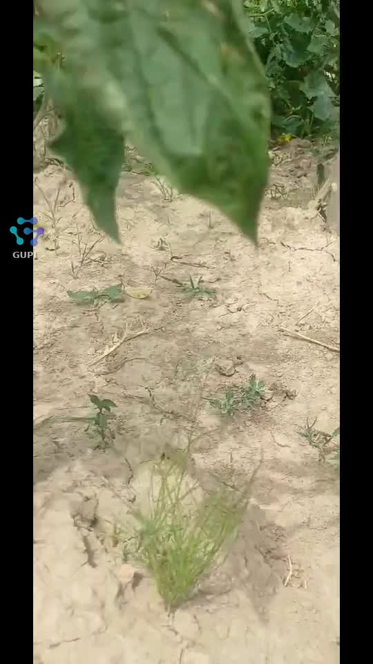 Video de @IcaVioo