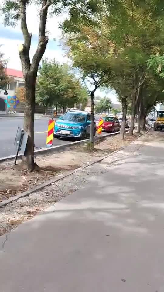 Video de @gupiuser153804
