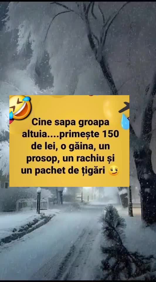 🇷🇴🤪🇷🇴#🇷🇴🤣🤣