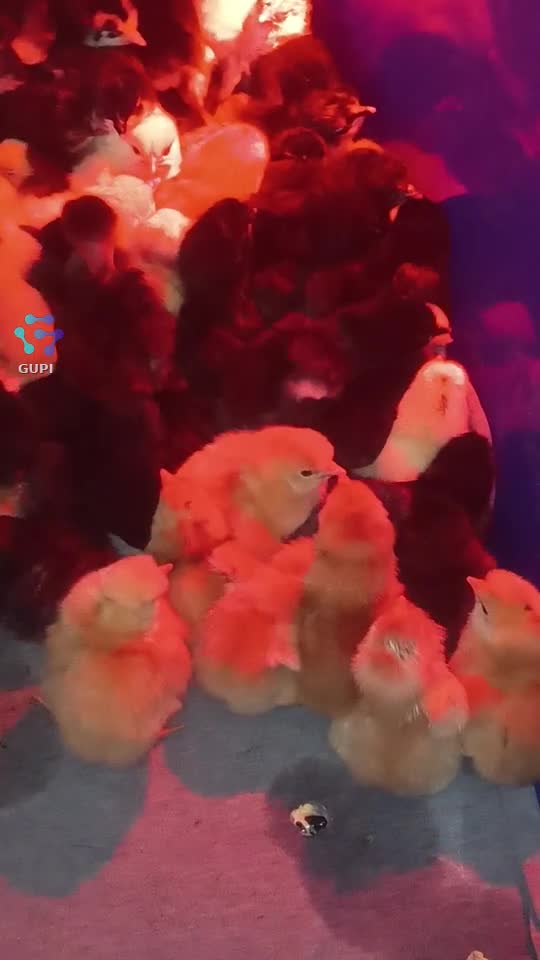 andreeyalolyrroxy0
contul de tik tok va mulțumesc va aștept în număr cât mai are inimioare și fallow va pup și îmbrățișez cu drag |||{"overlays":[{"text":"Avem și noi nevoie de urmăritori pe tik tok andreeyalolyrroxy0\nși inimioare acolo ❗ plus aici sa facem viral contul ăsta","x":0.1007233796296297,"y":0.40125678119348995,"fontSize":14.0,"color":4294967295,"isEmoji":false}]}