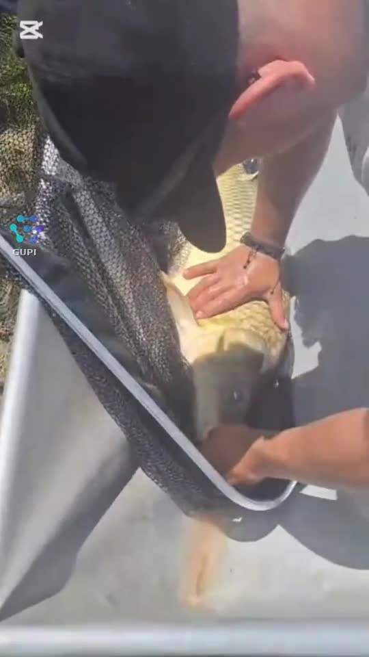 #fishing