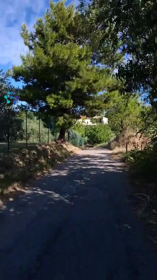 Video de @gupiuser226466