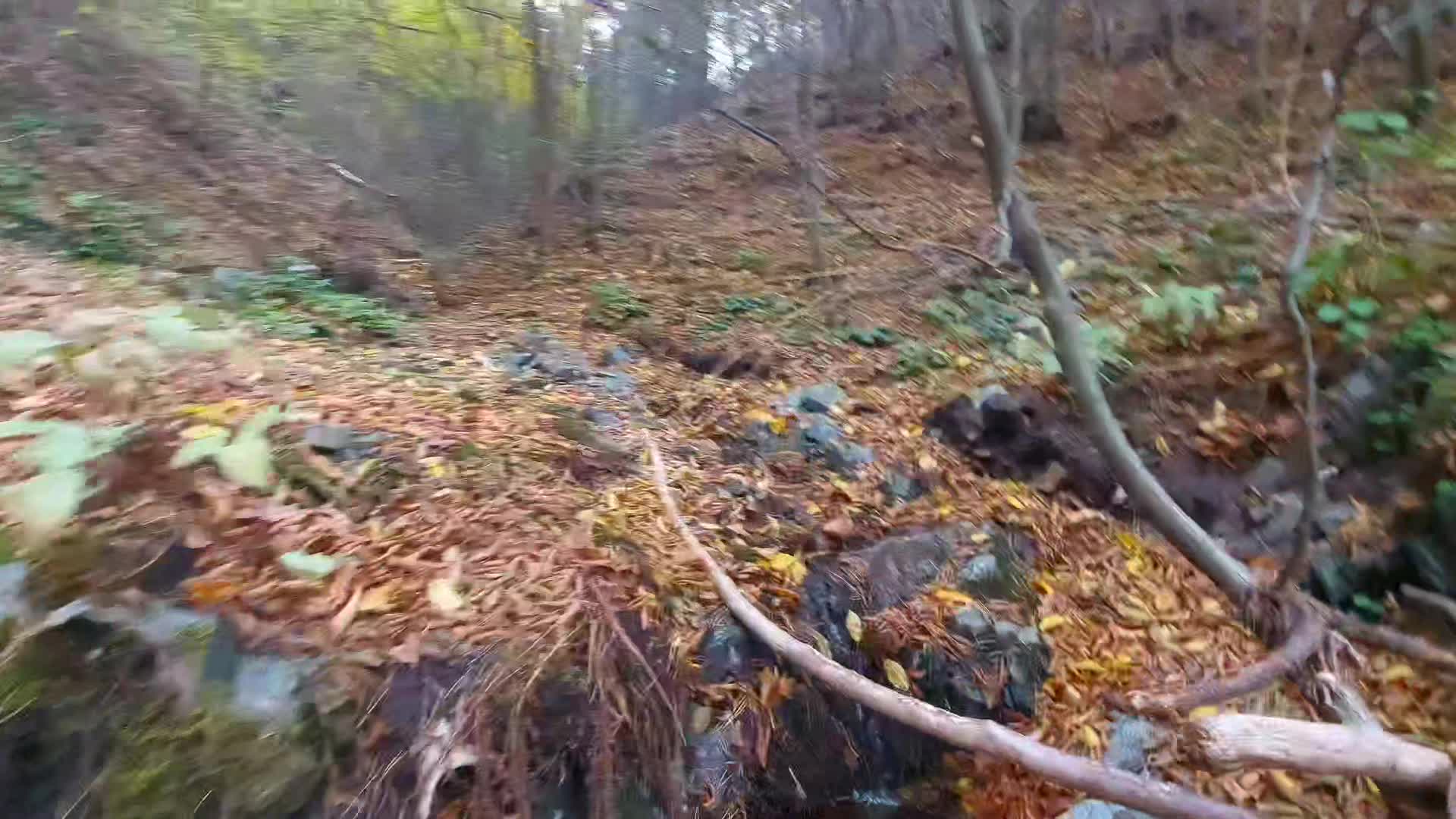 Video de @FLRica06