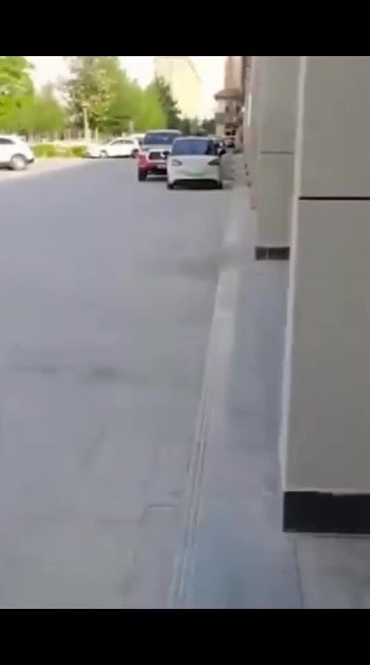 funnyvideos