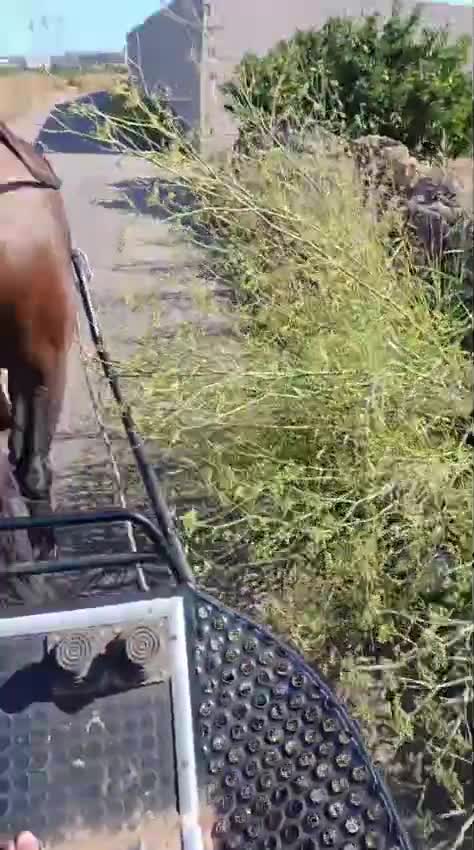 Video de @gupiuser1044877