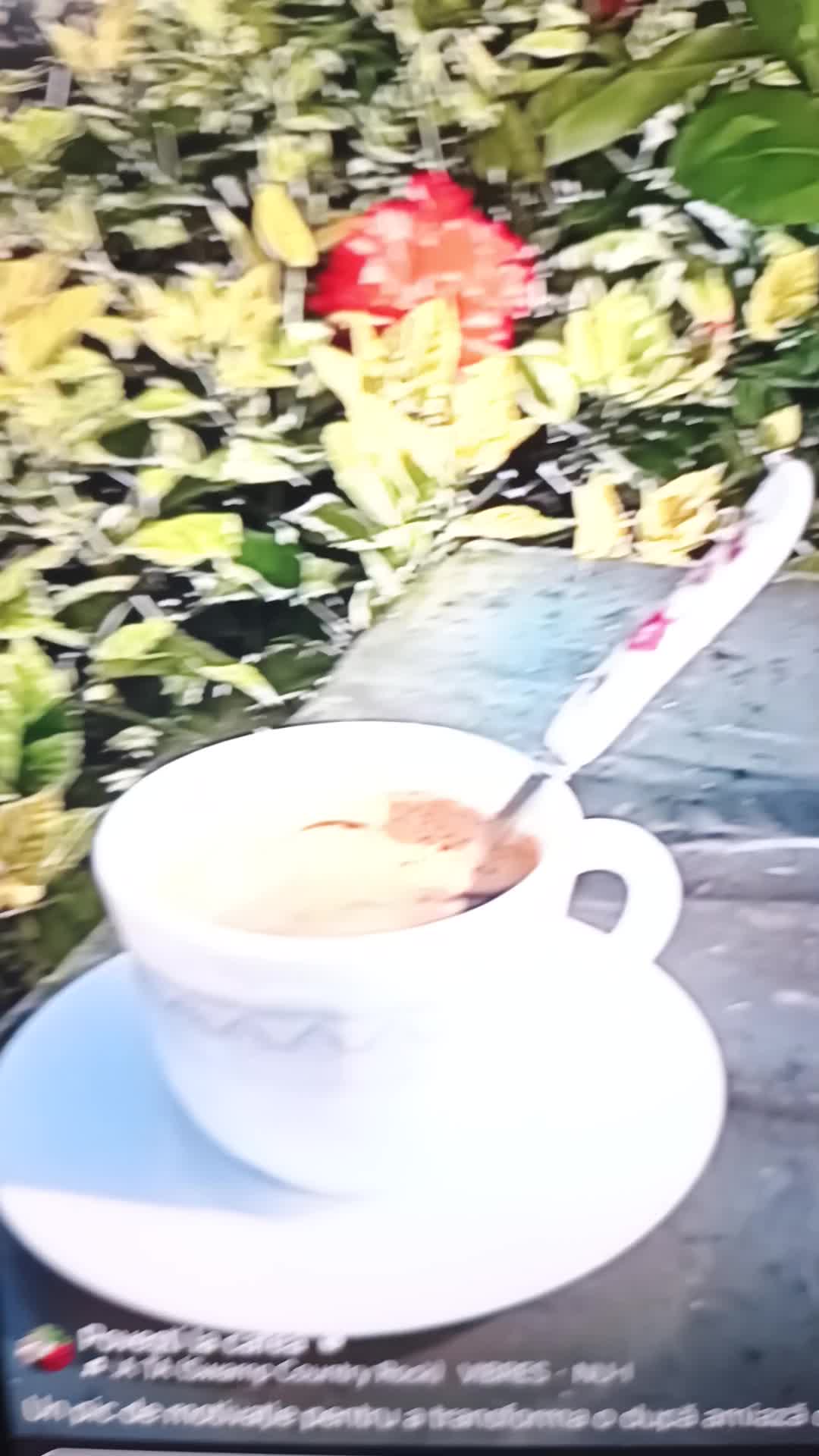 Video de @gupiuser868790