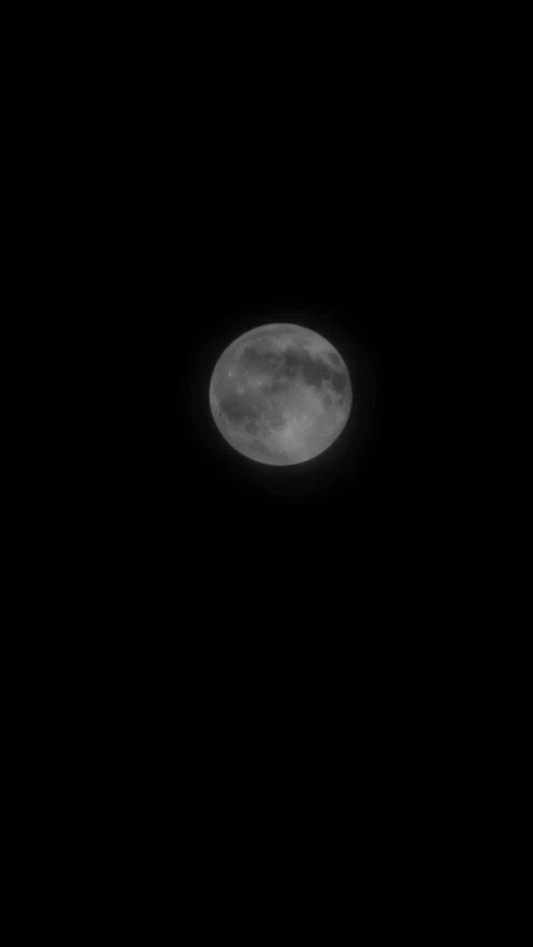 Video de @gupiuser953814