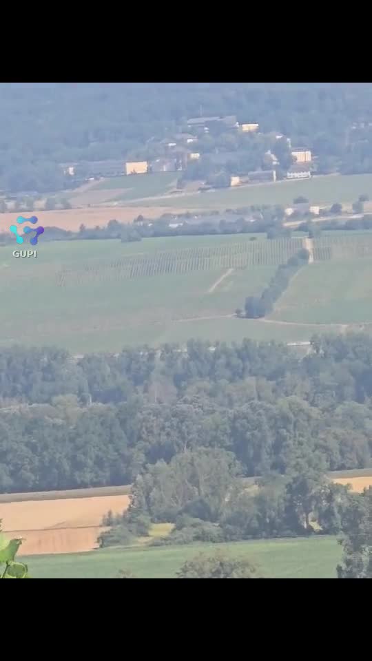 Video de @Lupulalfa96120