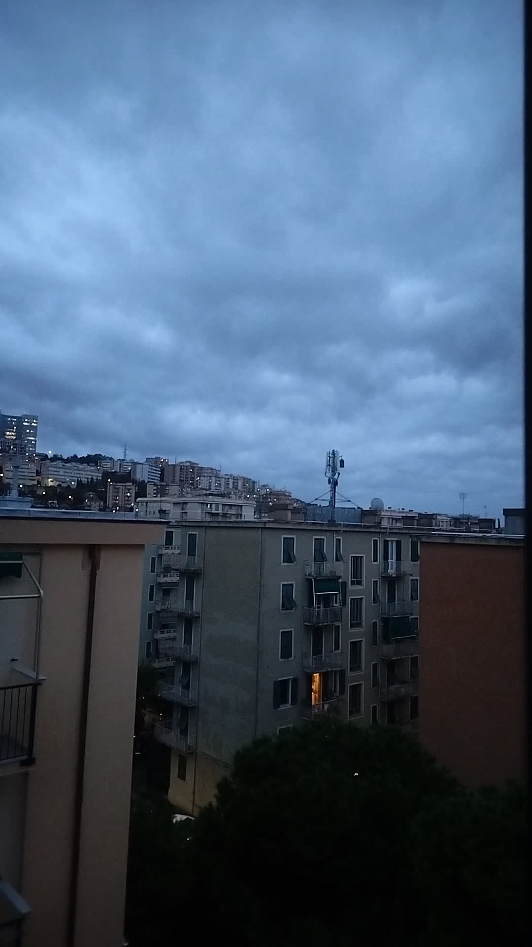Video de @gupiuser1024593